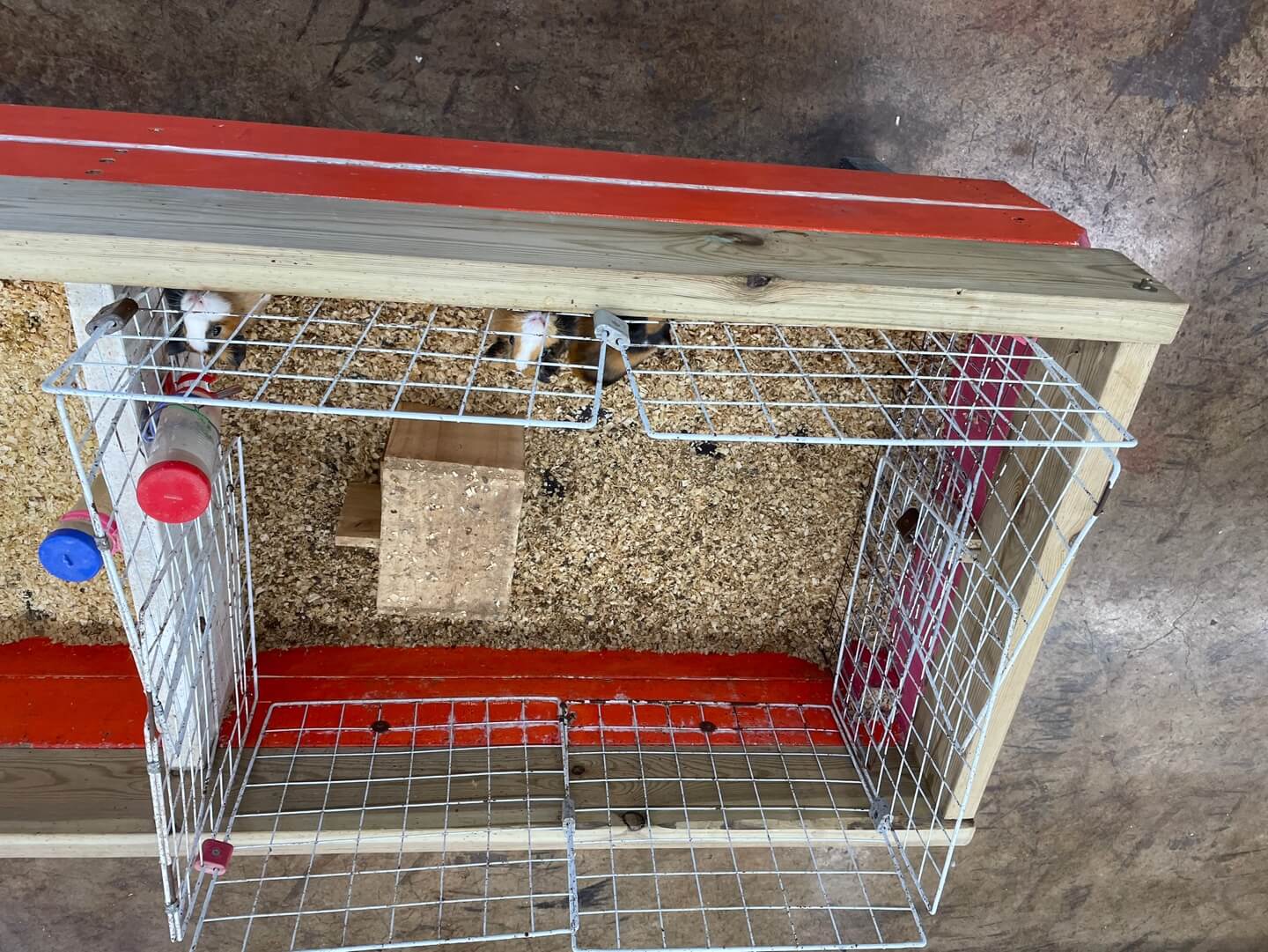 남해 상상양떼목장