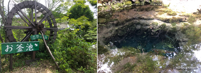 도쿄 근교 소도시 여행 오시노무라