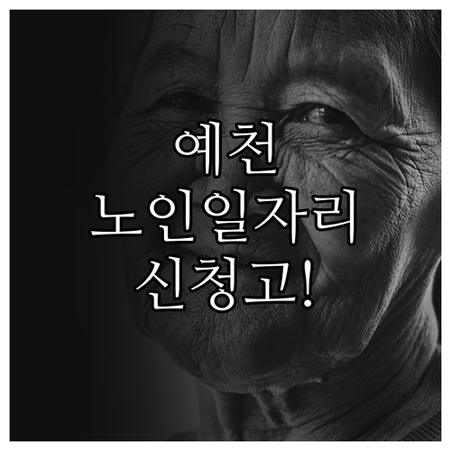 예천군 시니어클럽 노인 일자리 종류와..