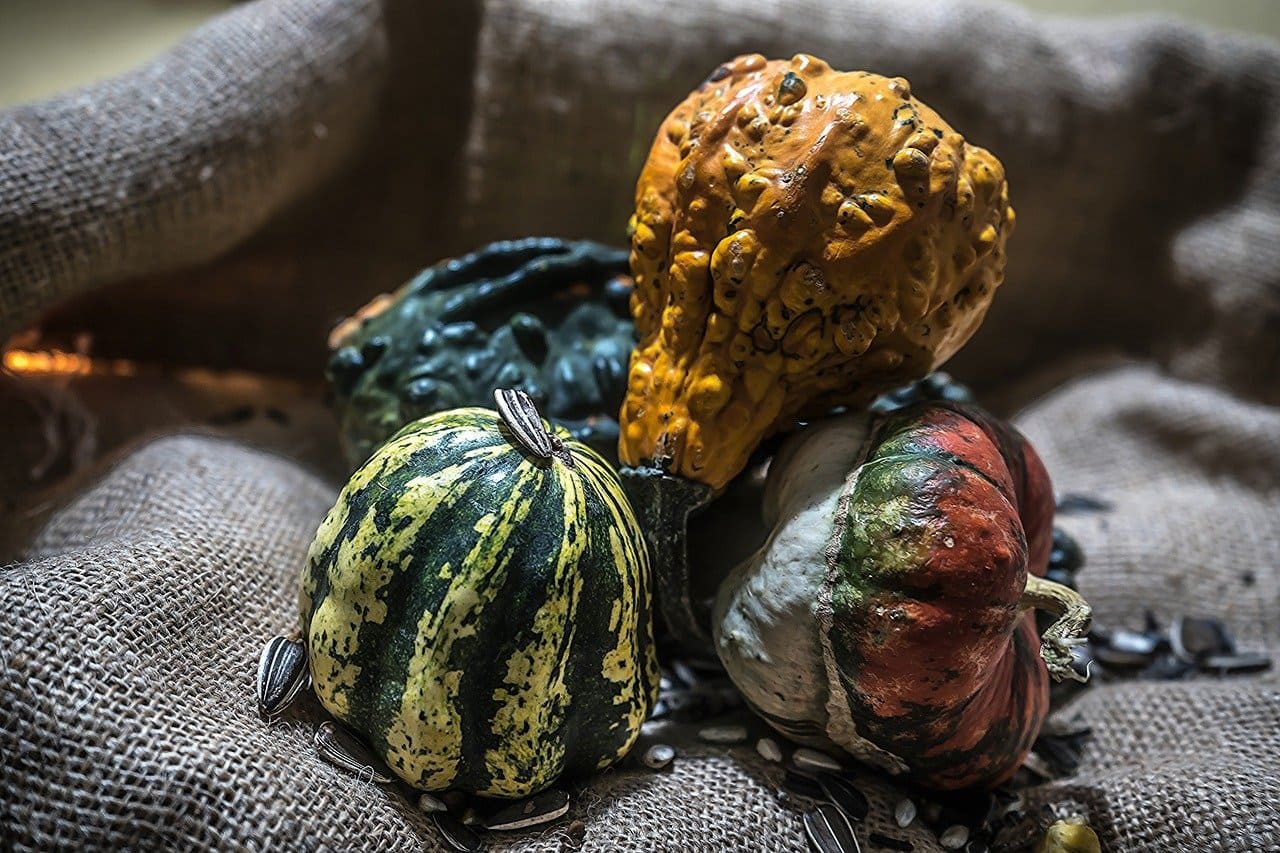 더현대서울 전시회 서양미술 800년