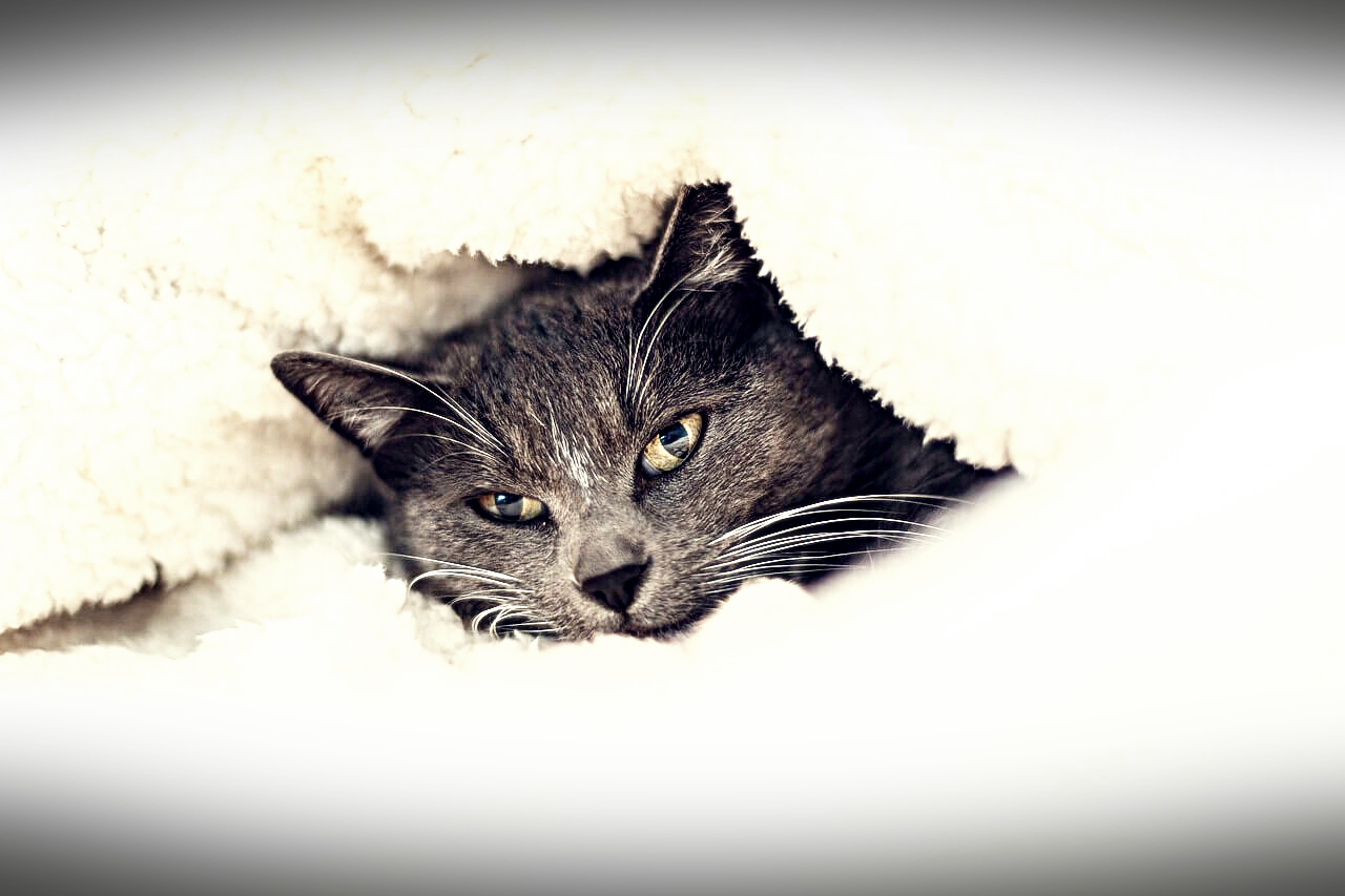 보험료 및 학습지 10% 청구할인1