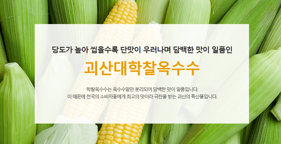 괴산대학옥수수란?