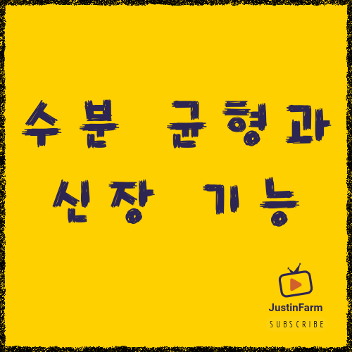 수분 섭취와 신장 건강의 관계: 물을 얼마나 마셔야 할까?