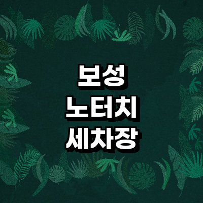 보성군 노터치 세차