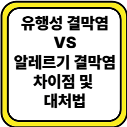 유행성 결막염 vs 알레르기 결막염