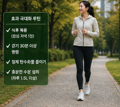 칼로커트-내돈내산-후기-성분-원리-효과-먹는법-가격