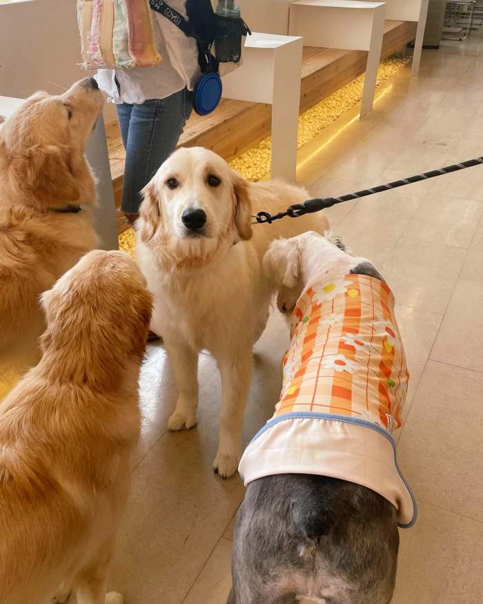 생생정보 틈새 알바 이거 어때