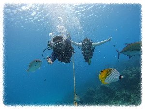 괌 피시 아이 마린 파크