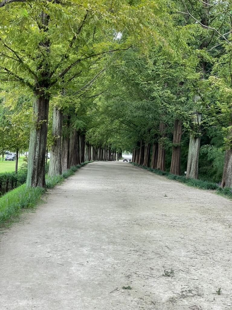 담양 죽녹원 입장료