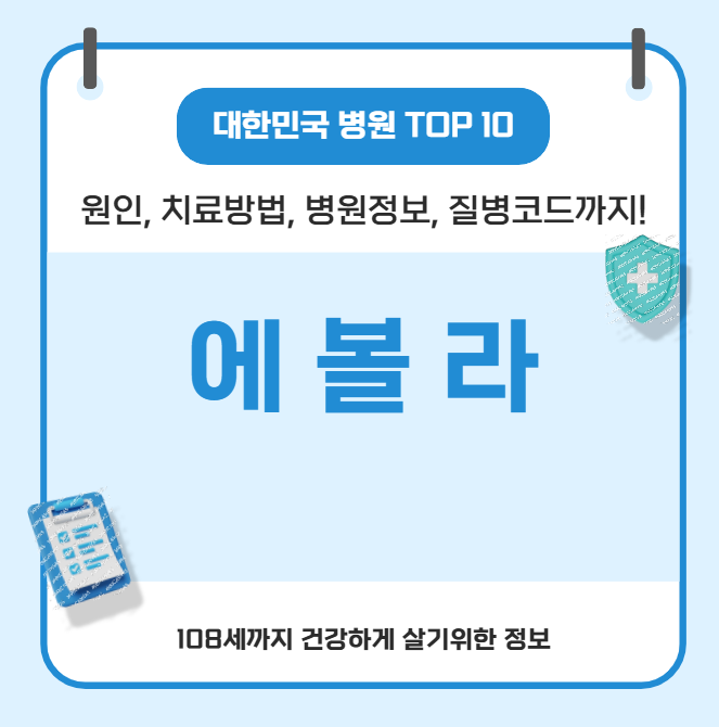에볼라의 모든 것(원인, 치료방법, 병원정보, 질병코드)