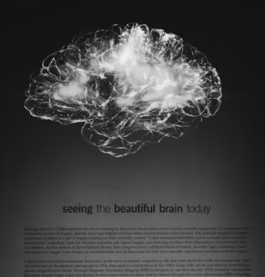 뇌 영양제 추천 부작용 효과 성분 가격