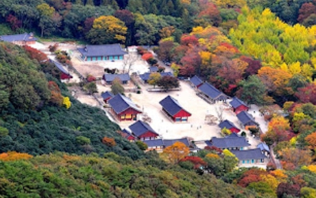 선운사