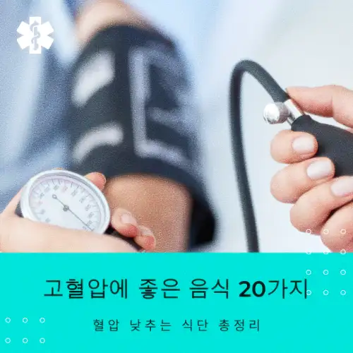 고혈압에 좋은 음식 20가지