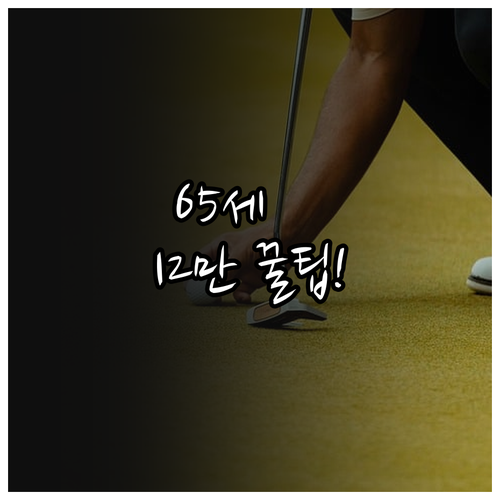 만65세 이상 월12만원 어르신 스포..