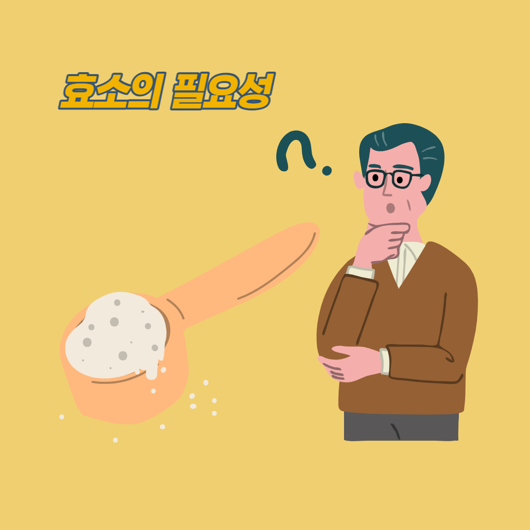 브로멜라인