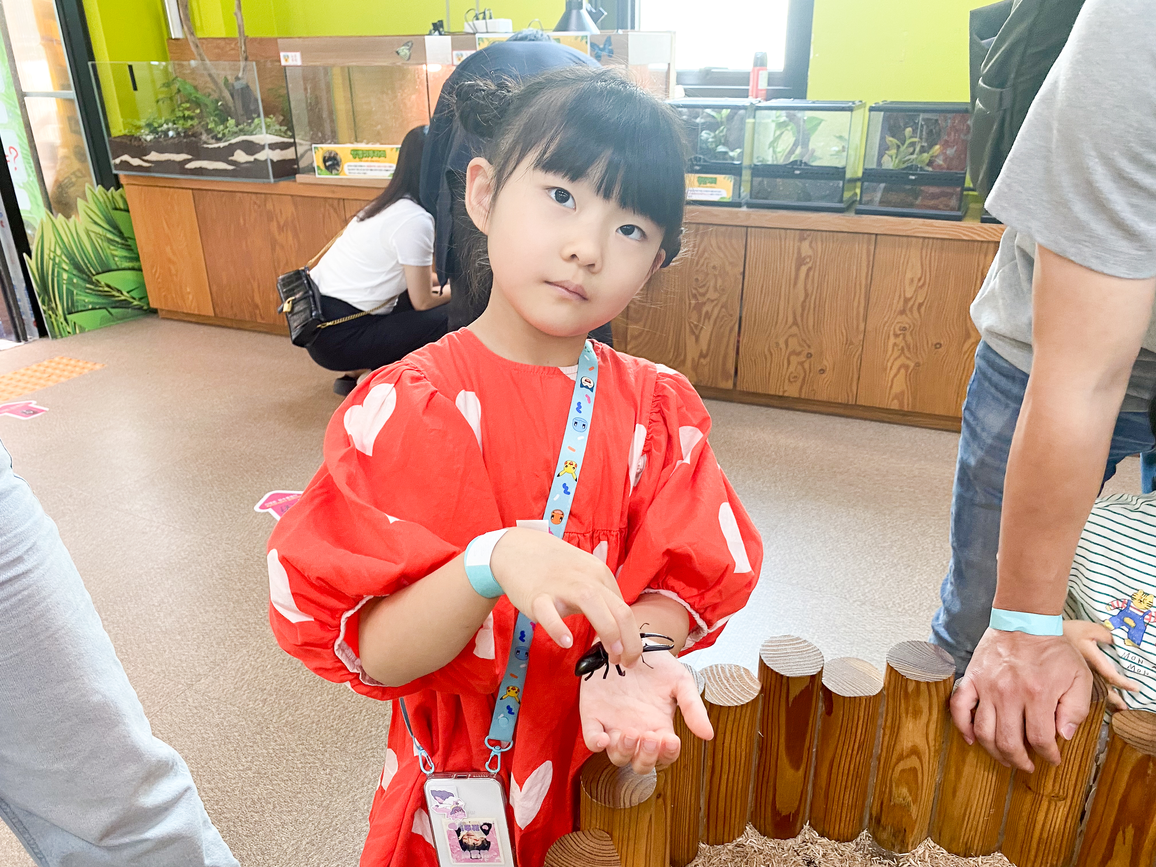 사슴벌레 만져보기 체험