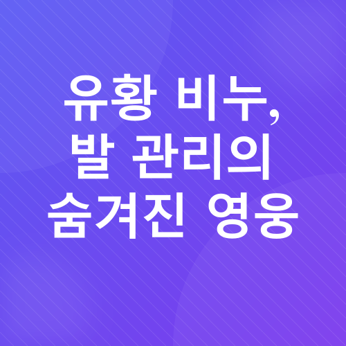 발 관리_3
