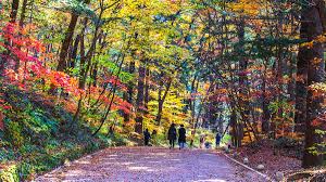 평창 가을 단풍 여행 명소