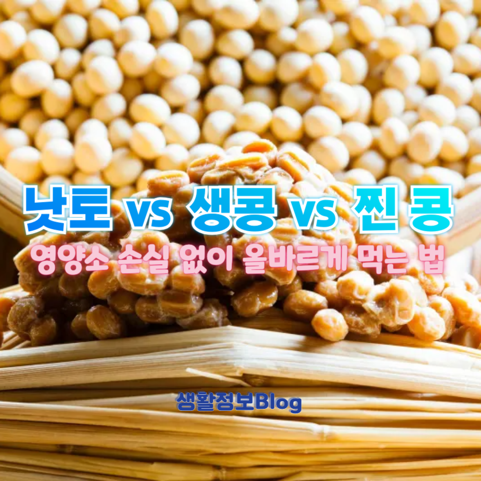 낫토 vs 생콩 vs 찐 콩