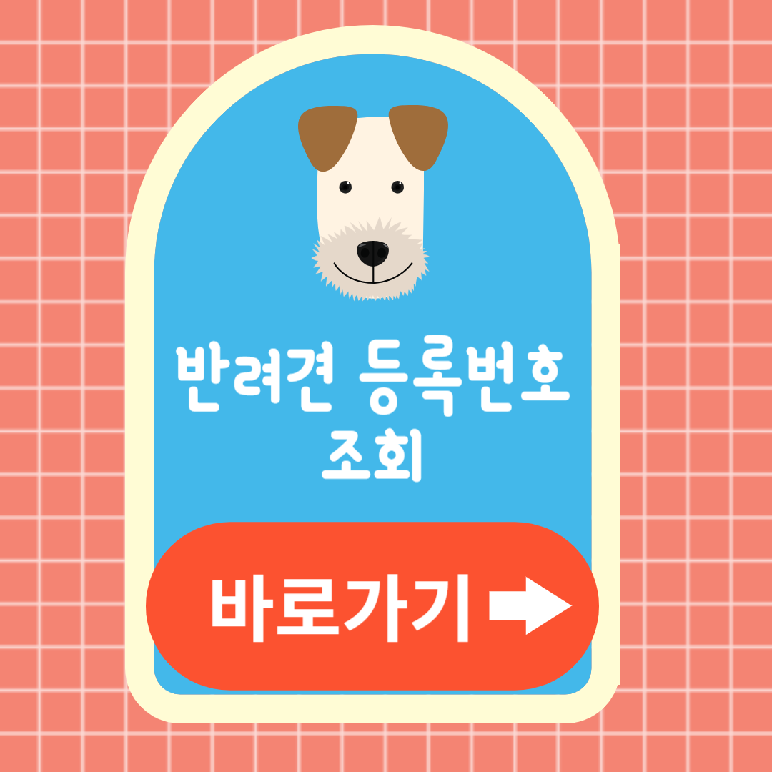 반려견 등록 의무 미등록 과태료 동물등록번호 조회하기