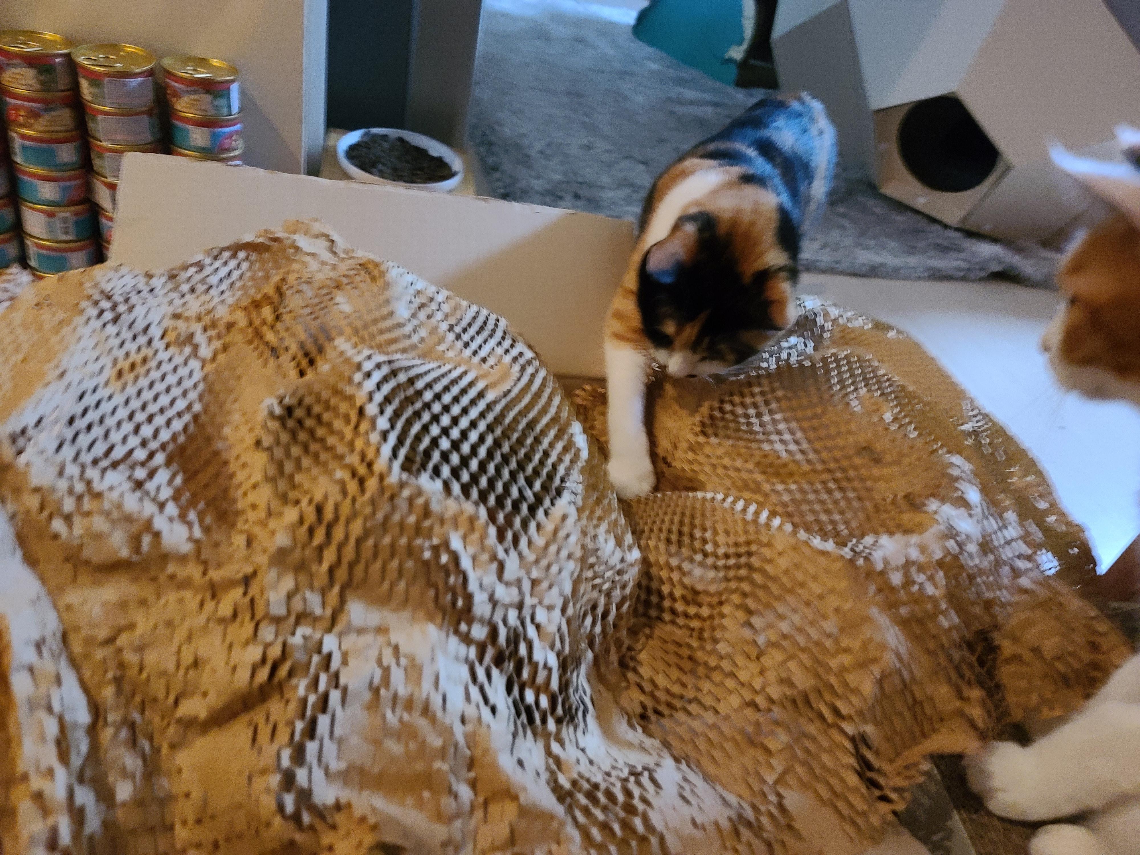 아이들의 호기심을 자극하는 장난감이 택배에 딸려왔다!