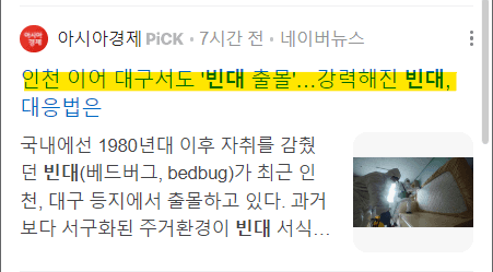 빈대 퇴치법