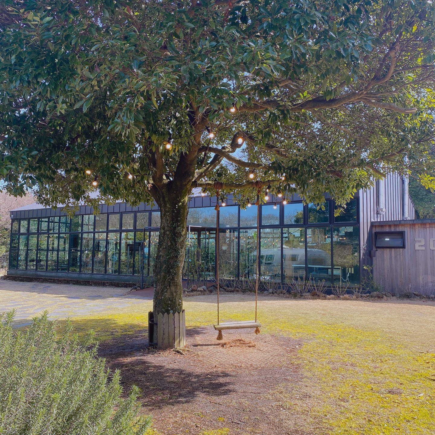 제주 조천 거문오름 2085카페