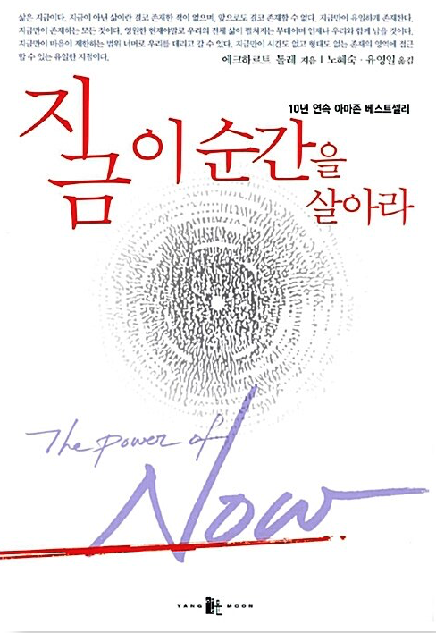 에크하르트 톨레 - '지금 이 순간을 살아라' 표지 사진