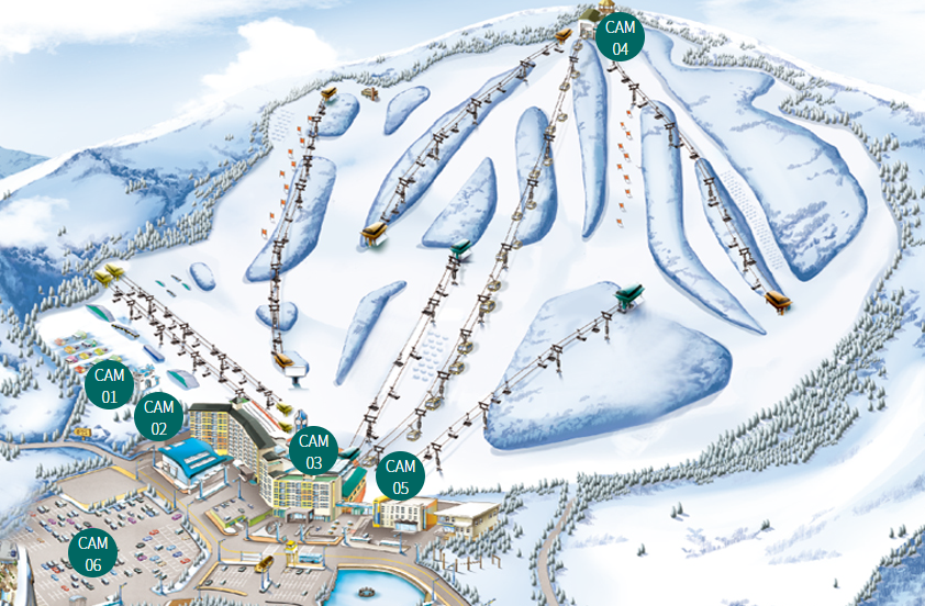 웰리힐리 스노우파크 실시간 웹캠