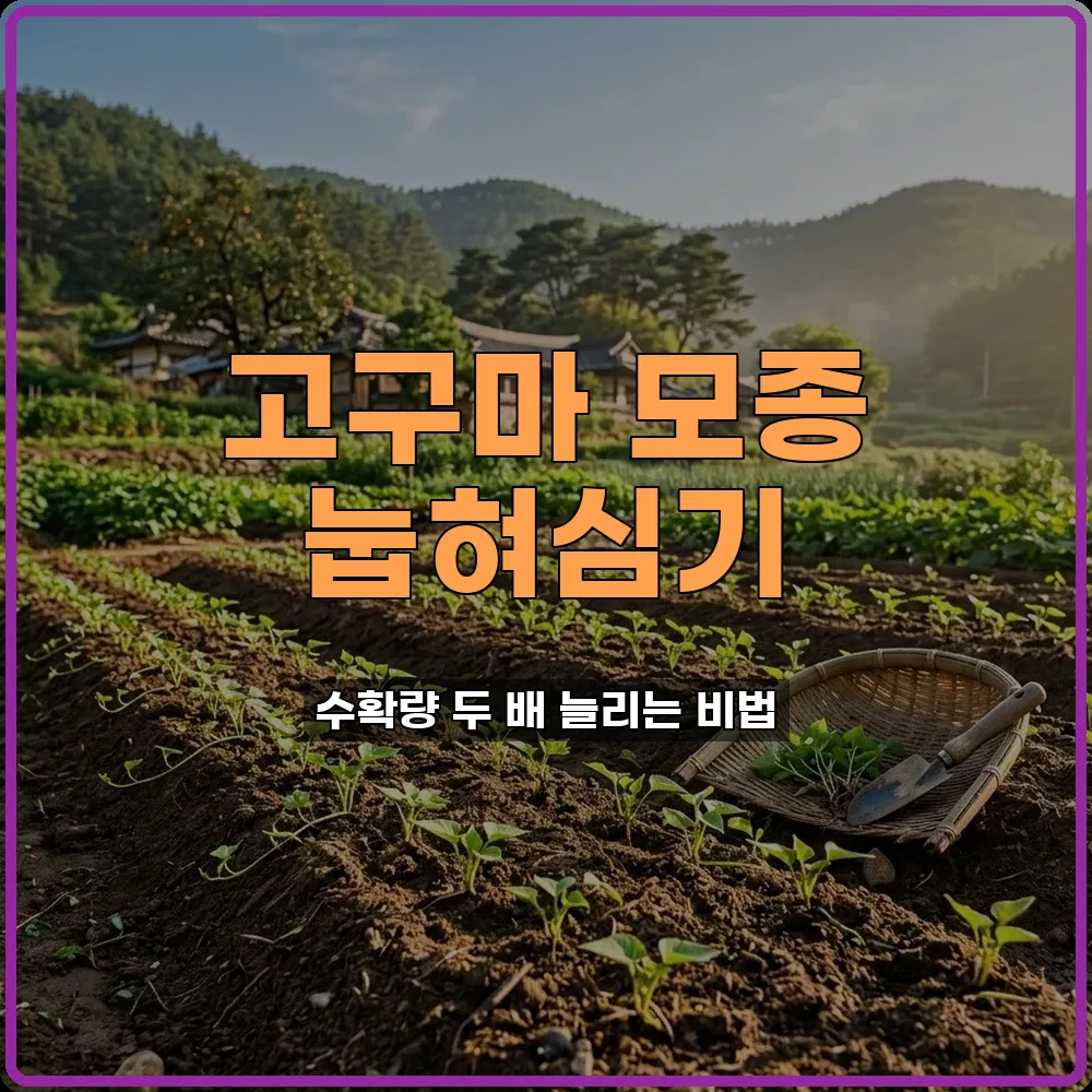 텃밭가꾸기