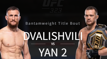 UFC 333