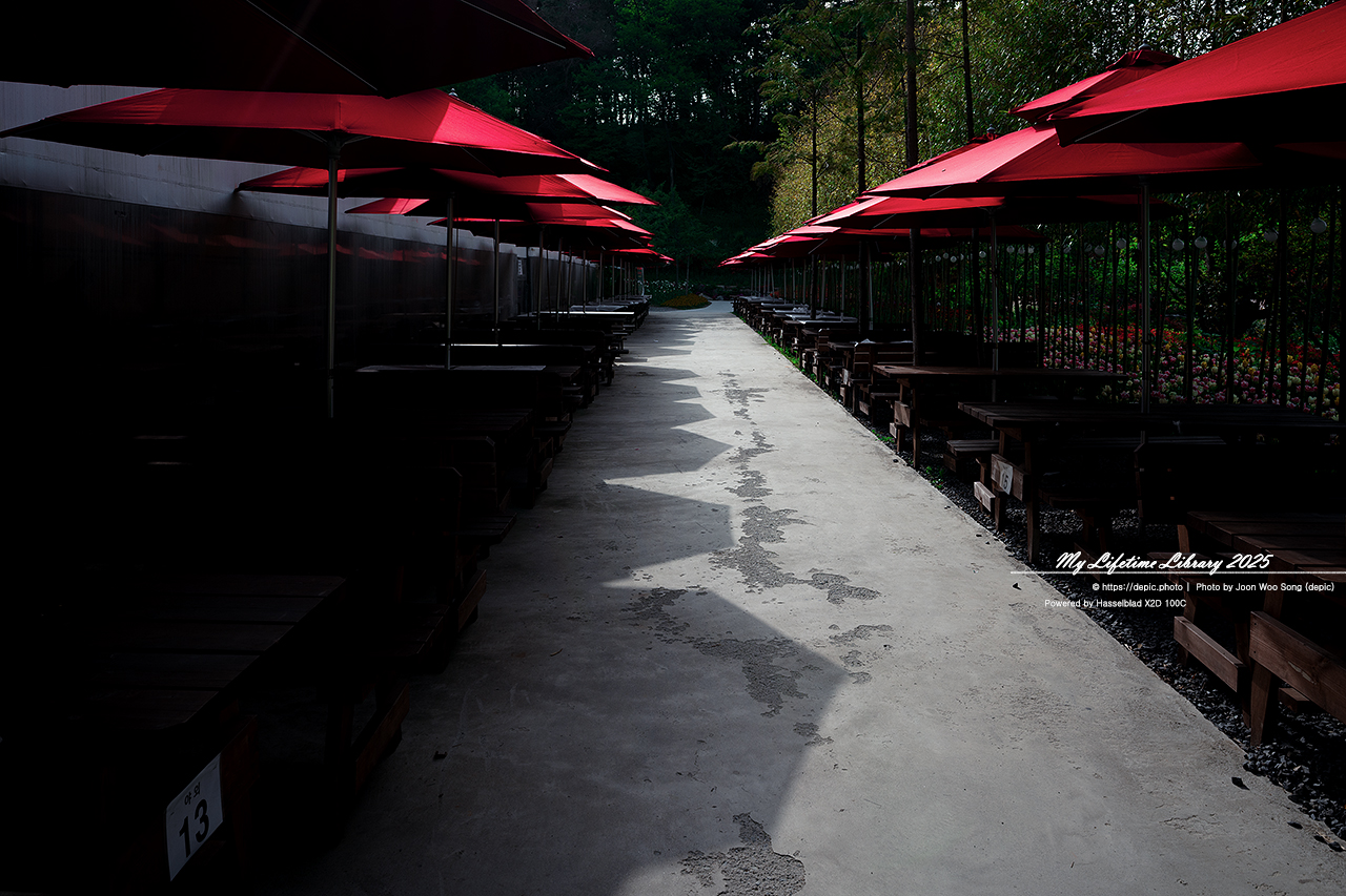 #봄 #꽃 #튤립 #아산 #피나클랜드