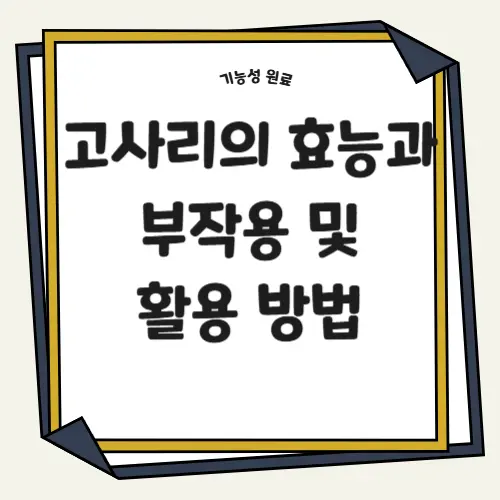 고사리의 효능과 부작용 및 활용 방법