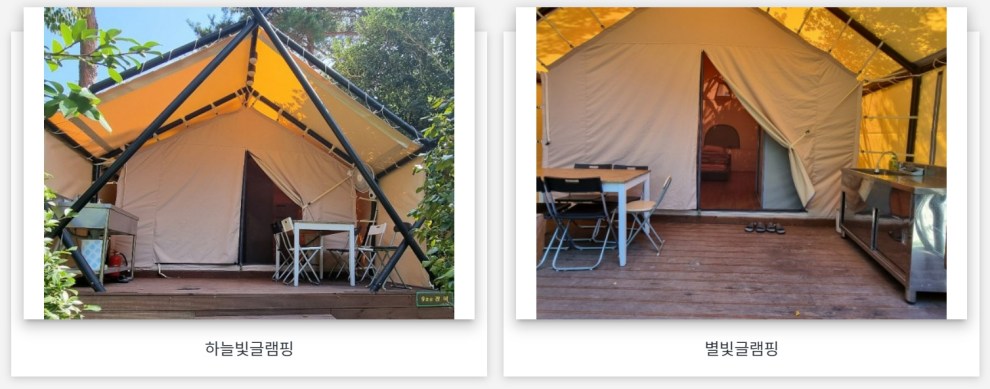 장흥 하늘빛수목원 튤립축제