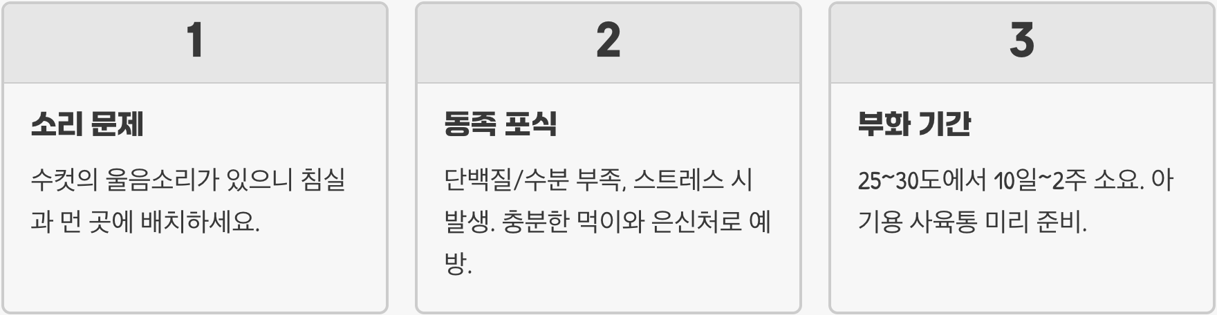 초보 집사 필독! 귀뚜라미 키우기 A to Z (먹이, 사육통, 번식까지 완벽 가이드)