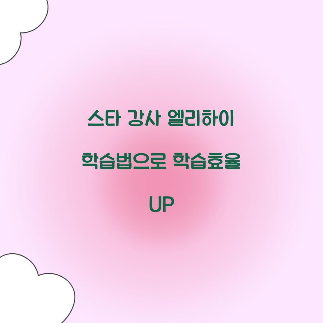 스타 강사 엘리하이 학습법