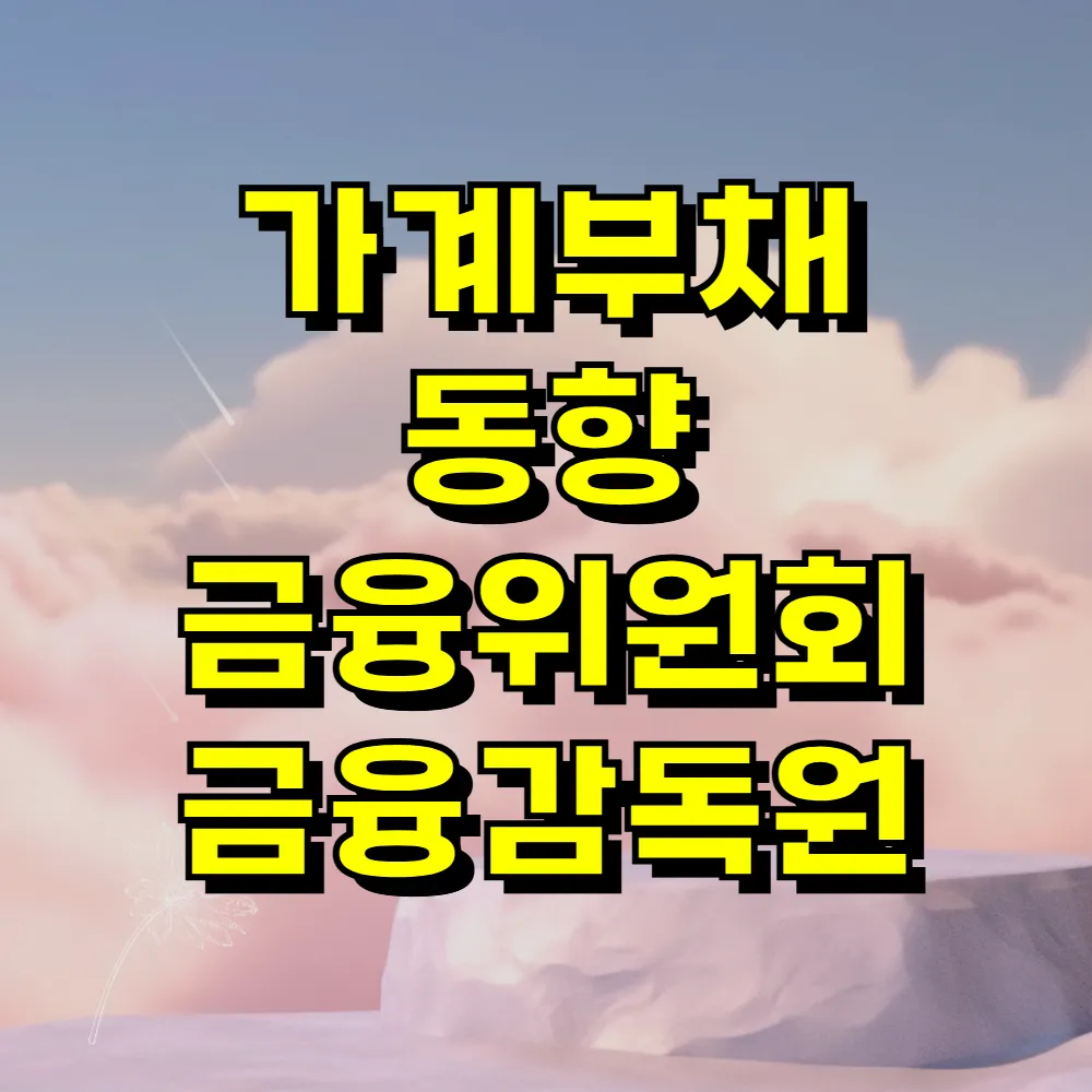 가계부채 동향 금융위원회 금융감독원