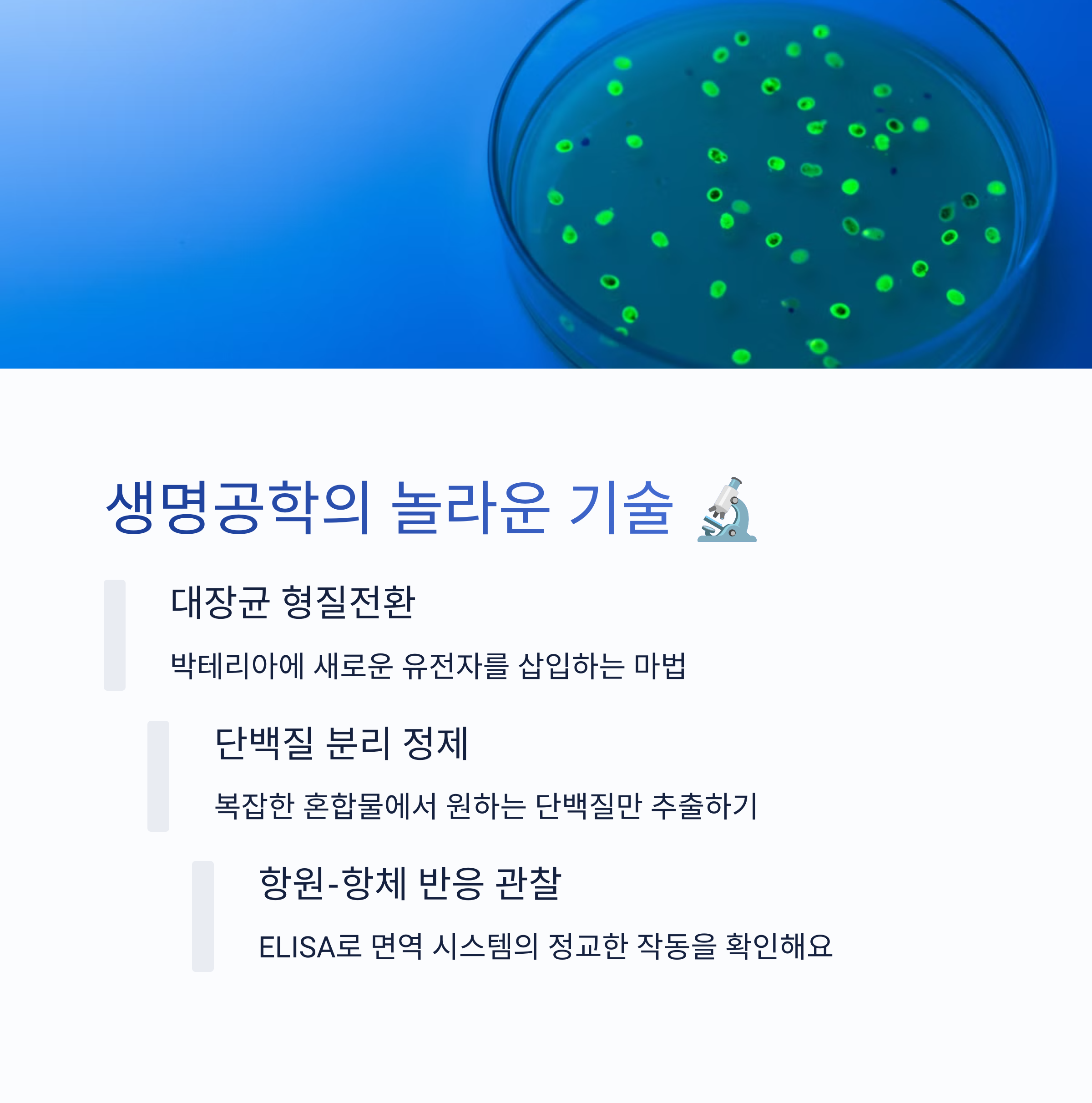 생명공학과 응용 실험