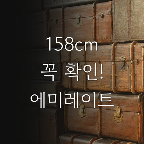 에미레이트 위탁수하물 크기 제한 15..
