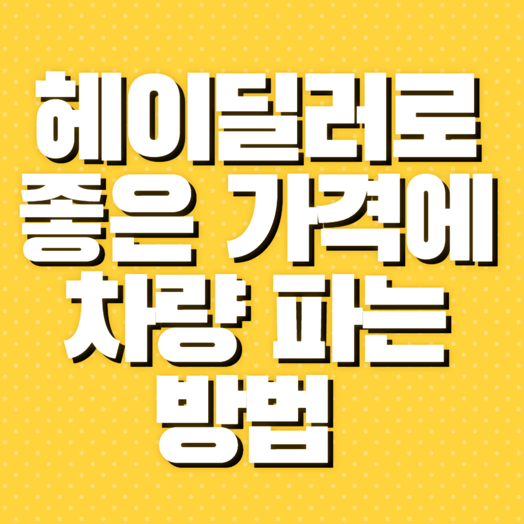 헤이딜러제로
