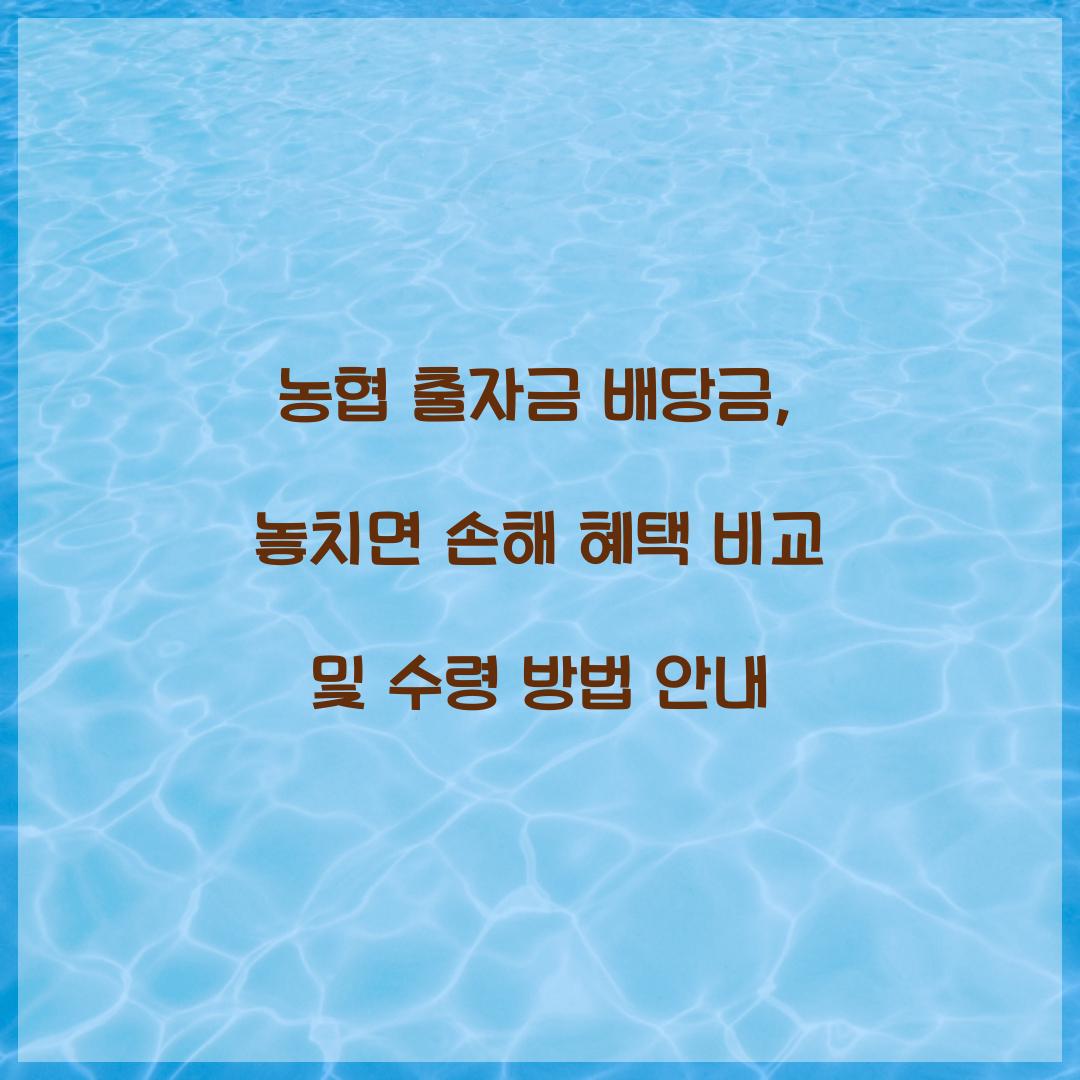 농협 출자금 배당금