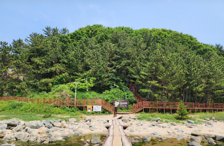 덕봉산 해안생태탐방로