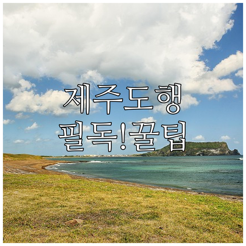 광주공항 이용 제주도 여행 필수 정보..