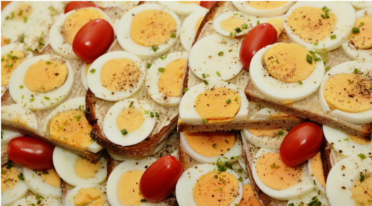 요요 없는 올바른 식단 관리