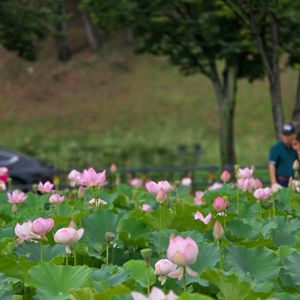 동궁과 월지 (인왕동)