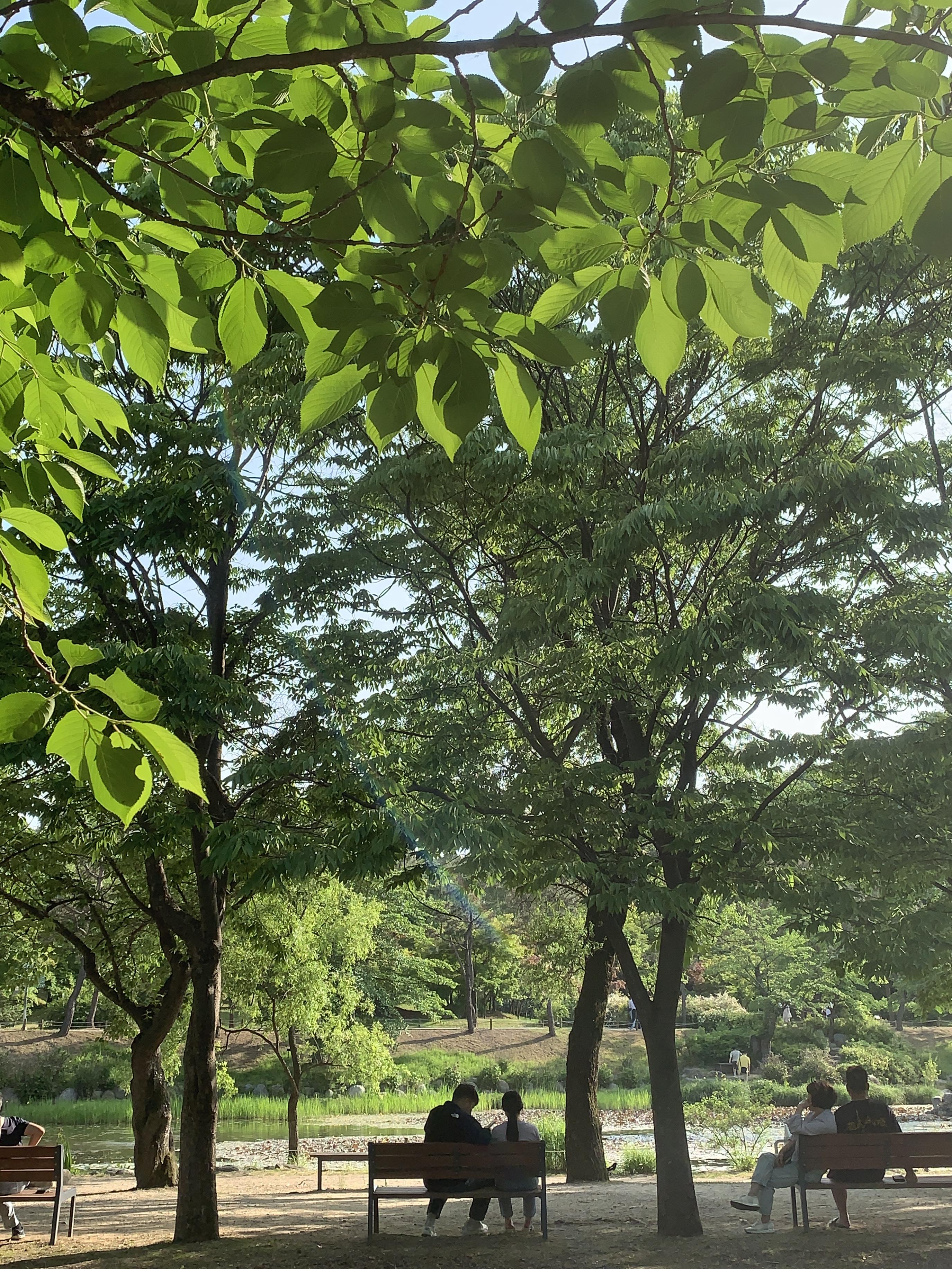 오산 물향기수목원 연못