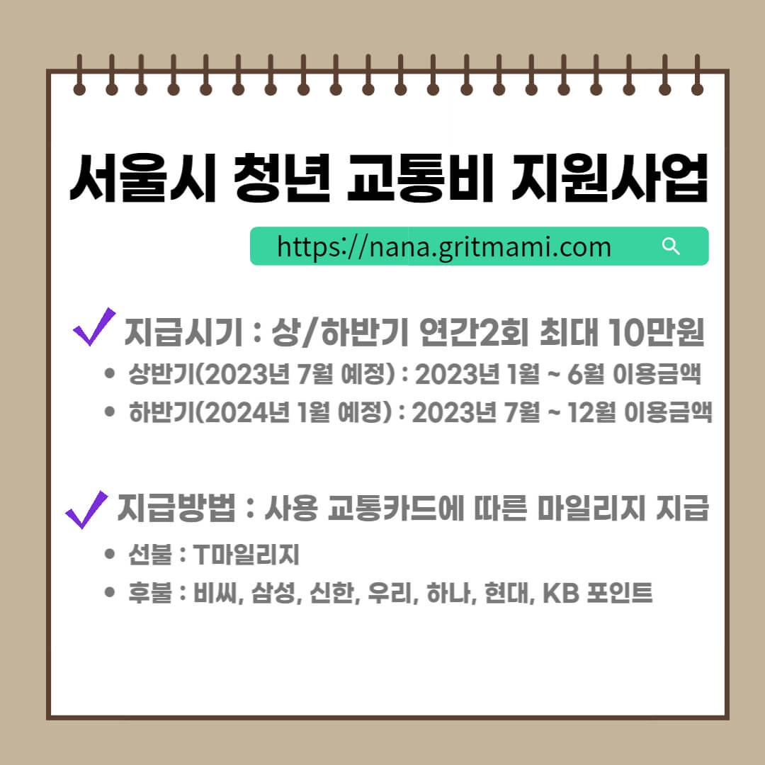 서울 청년 교통비 지원