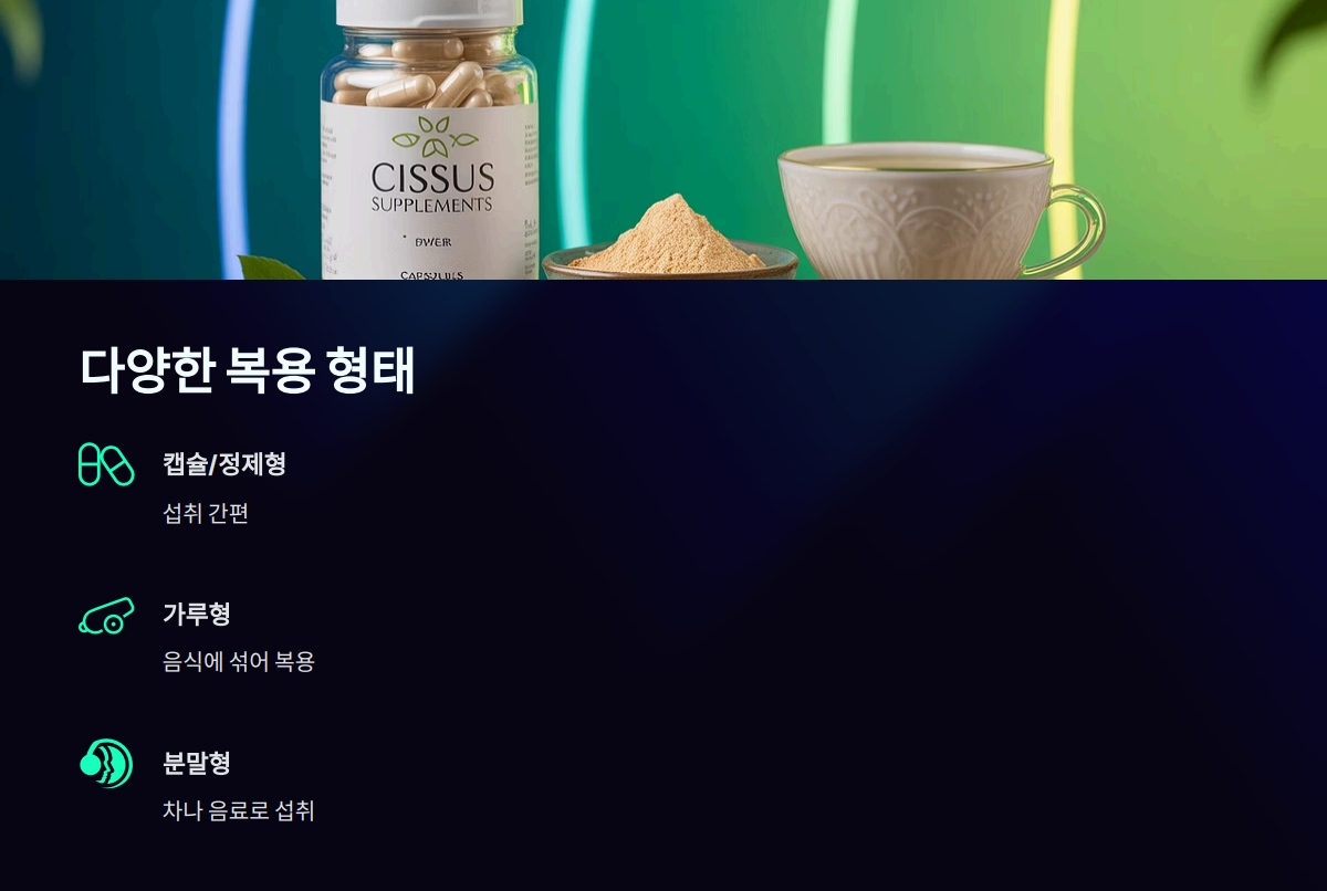 시서스 복용법