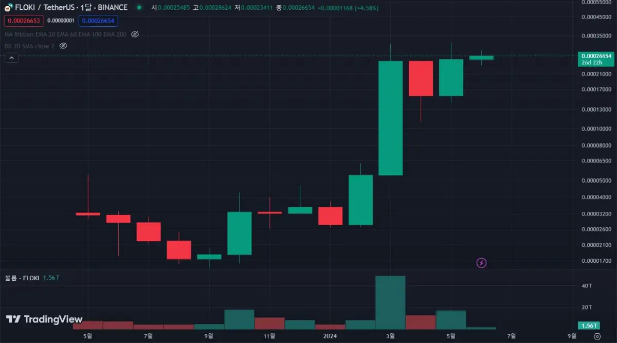 FLOKI-코인-월봉-차트