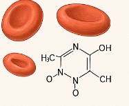 빈혈에 좋은 영양제